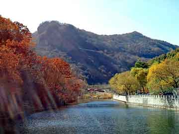 新澳天天开奖资料大全旅游团，普桑论坛